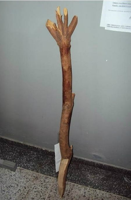 Foto: Ata News