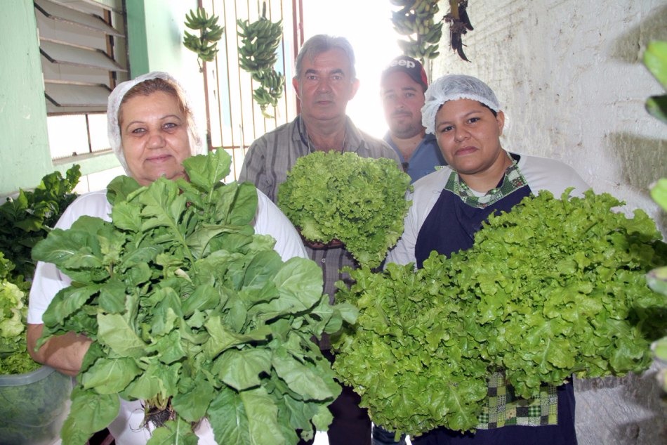 Foram doados 40 pés de alface e uma caixa com rúcula. (Foto: Assessoria de Imprensa)
