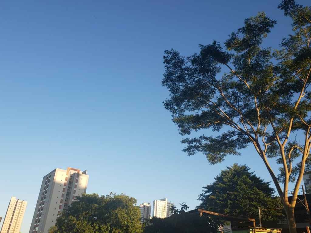 (Ana Paula Chuva | Jornal Midiamax)