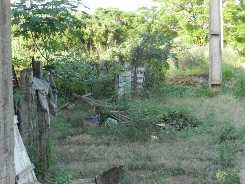 Foto: Repórter News