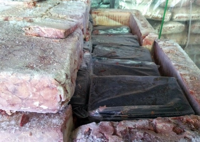 Tabletes de cocaína estavam escondidos em carga de fígado de frango congelado - Foto: Divulgação