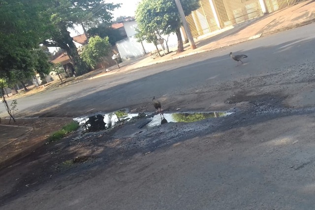 Foto: Arquivo Pessoal