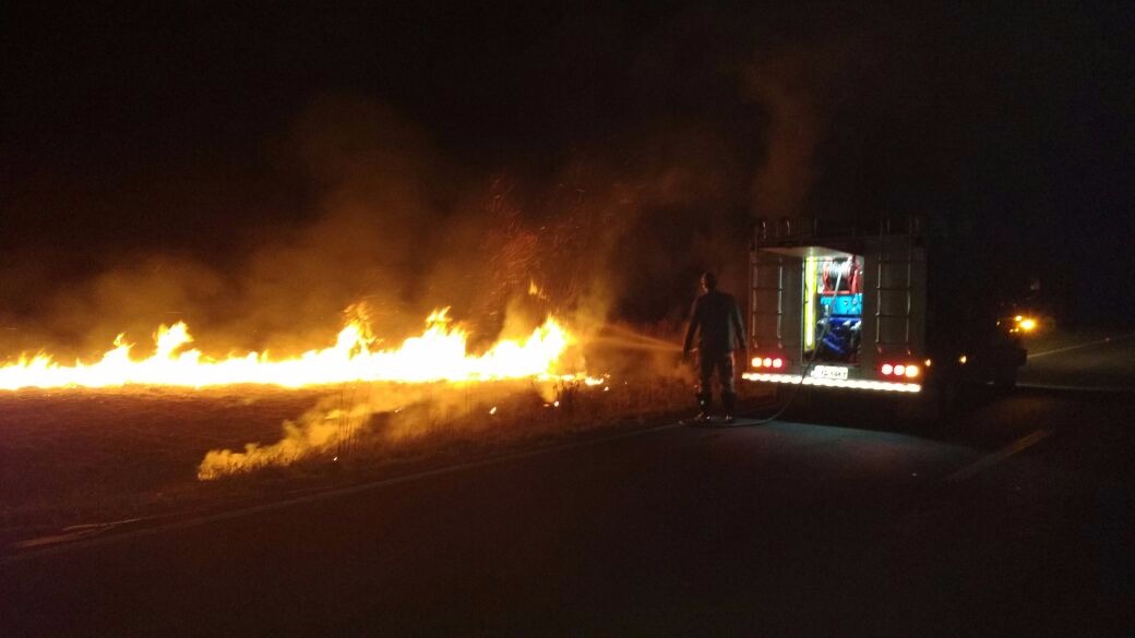 Fogo se espalhou para uma área ambiental às margens da rodovia. (Foto: Policia Rodoviária)