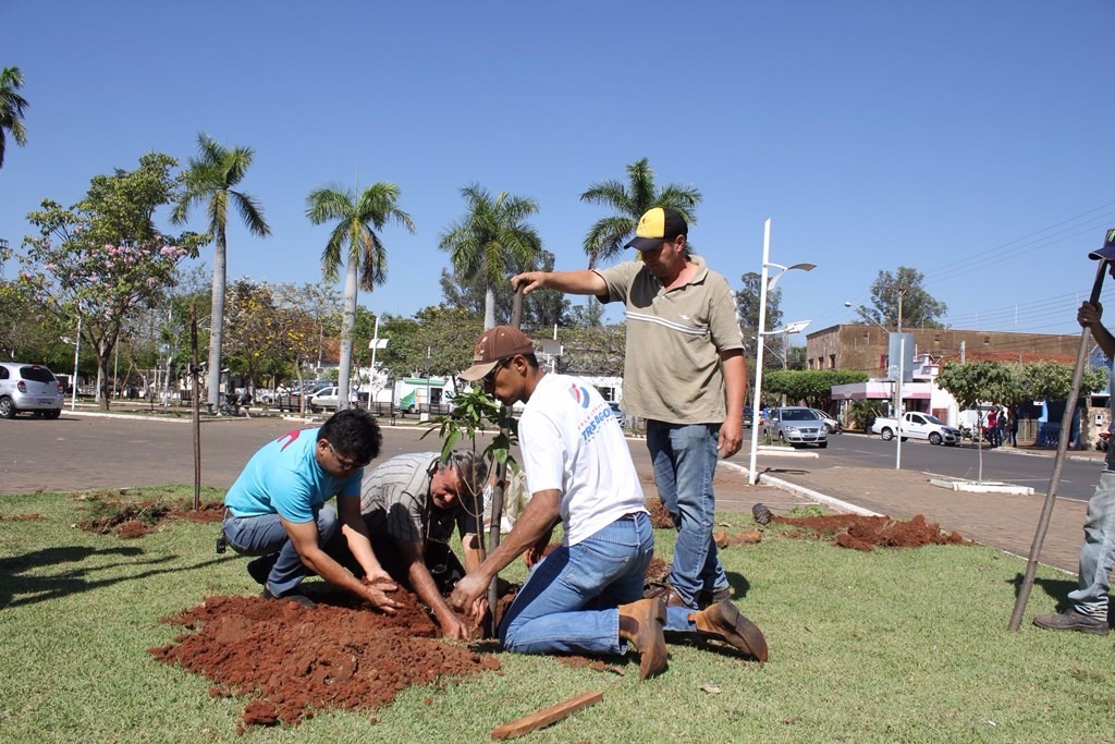 Foram plantadas Ipês, Aroeiras, Embaúbas e arbustos da espécie Mussaenda. (Foto: Assessoria de Imprensa)