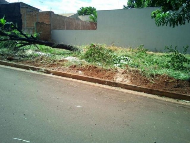 Foto: Arquivo pessoal.