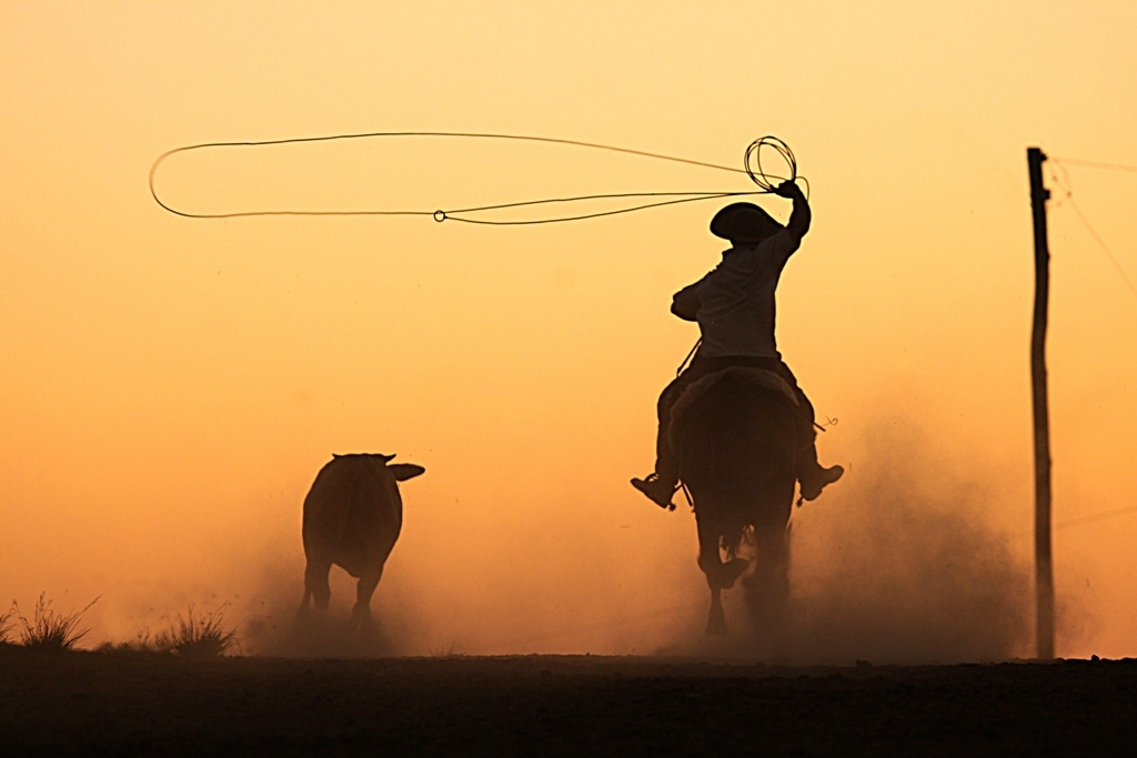 Rodeios não podem mais ter prova do laço em dupla (Foto: Divulgação)
