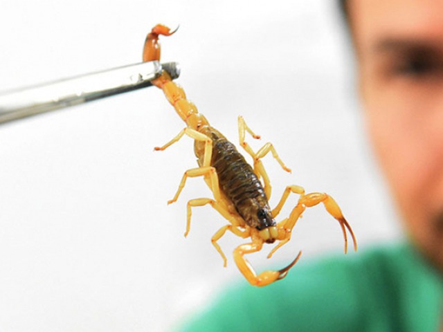 Crianças abaixo de 7 anos têm mais chance de apresentar sintomas como vômito e diarreia