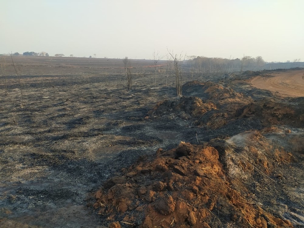 Área que pegou fogo na região de Itapura e funcionário de usina morreu. Foto: Rafael Honorato/TV TEM
