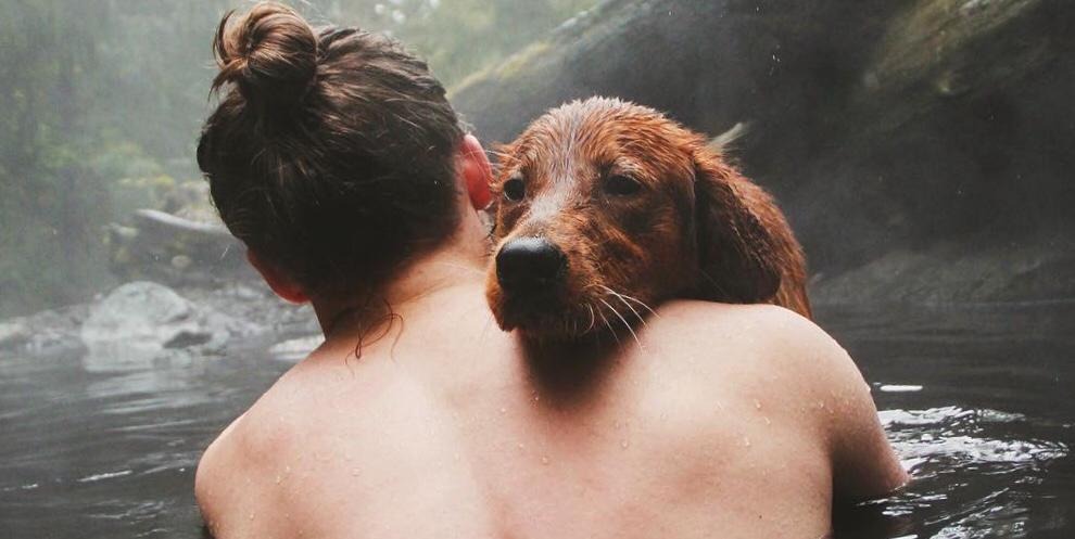 Para fazer o estudo, os pesquisadores colocaram os pets em um comodo com seus donos e observaram cada interação entre eles por 30 minutos. Foto: Divulgação.