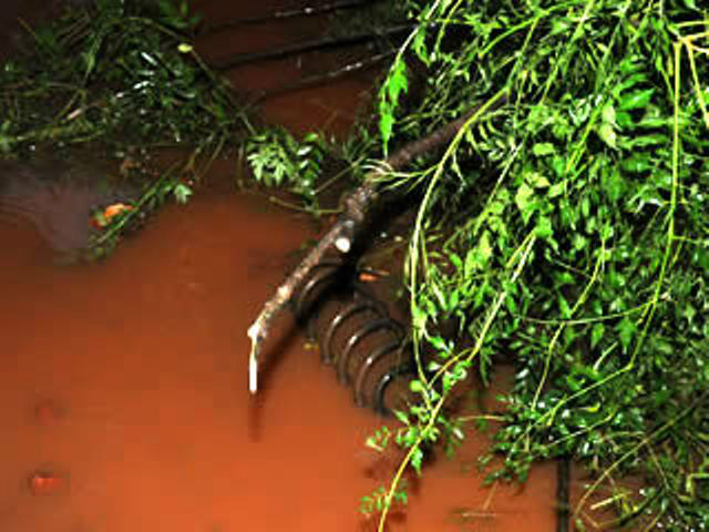 Foto: Kennedy Scudeler / Siliga News