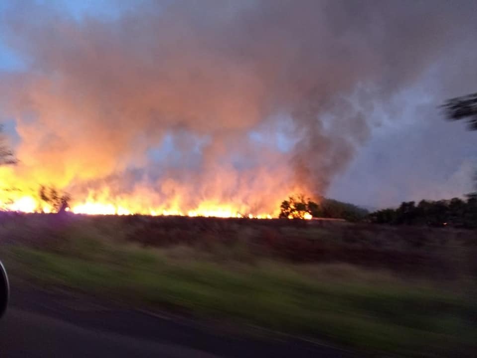 O incêndio queimou área equivalente à 2,2 mil campos de futebol. Foto: Assessoria da Prefeitura de Brasilândia (MS)