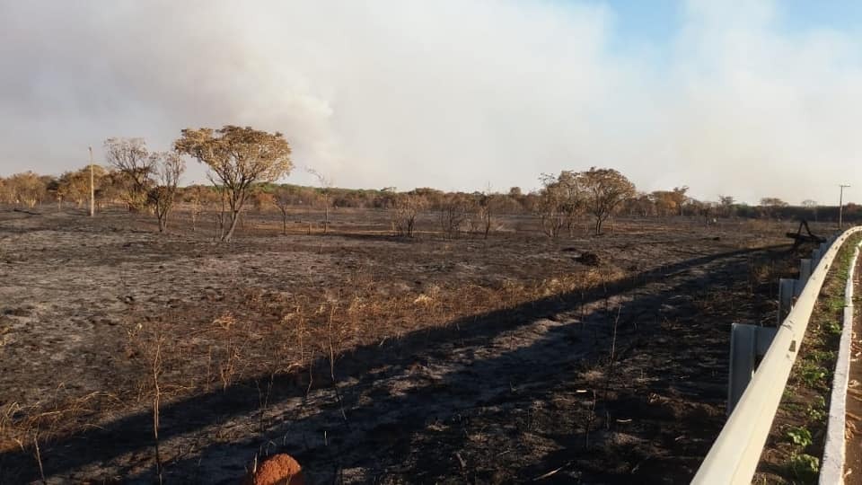 A área afetada corresponde a cinco vezes a área urbana total do município de Brasilândia ou 2.200 campos de futebol. Foto: Assessoria da Prefeitura de Brasilândia (MS)