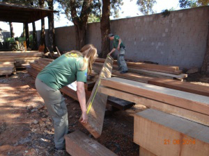 Empresas emitiam nota de madeira cortada ilegalmente. (Foto: Ibama/MS)
