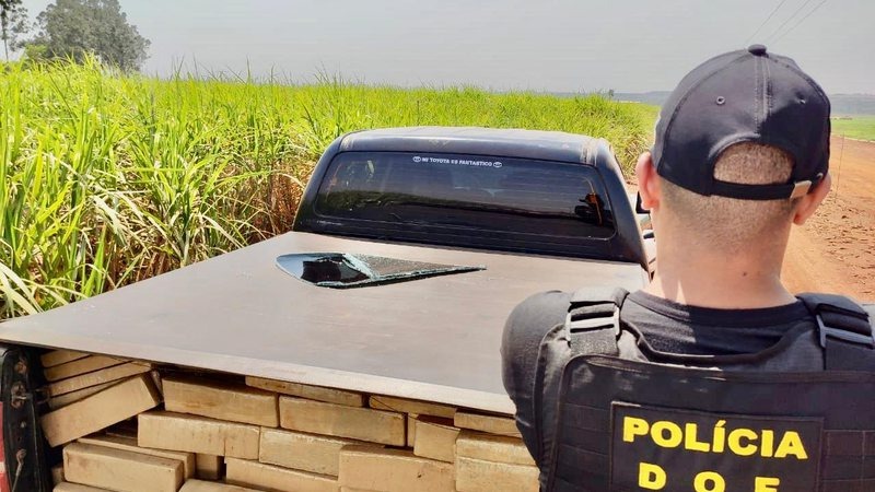 Policial do DOF em uma ocorrência de apreensão de maconha em MS - Divulgação