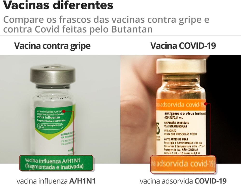 Compara os frascos das vacinas — Foto: Amanda Paes/Arte G1