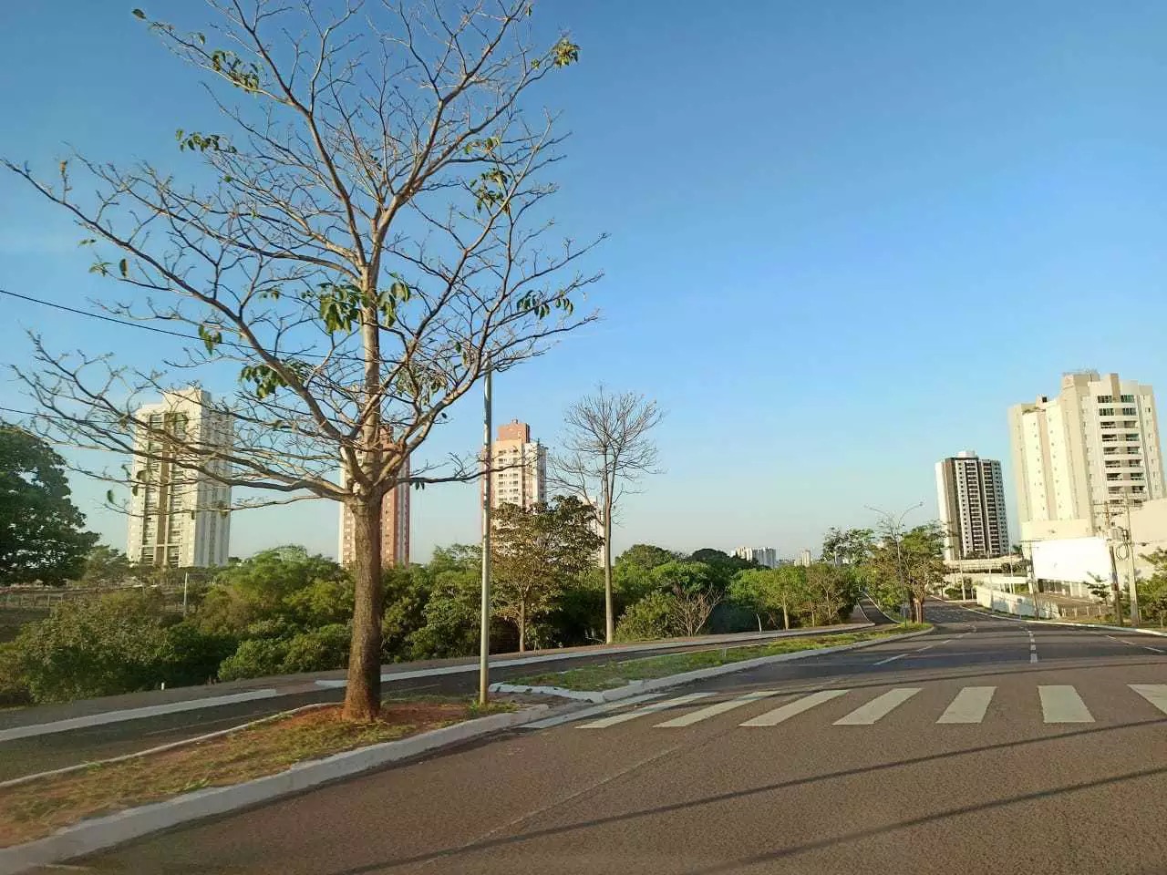 Céu azul na manhã deste sábado na região da Avenida Nely Martins. (Foto: Kísie Ainoã)