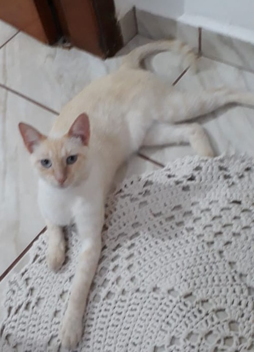 Foto: Arquivo pessoal