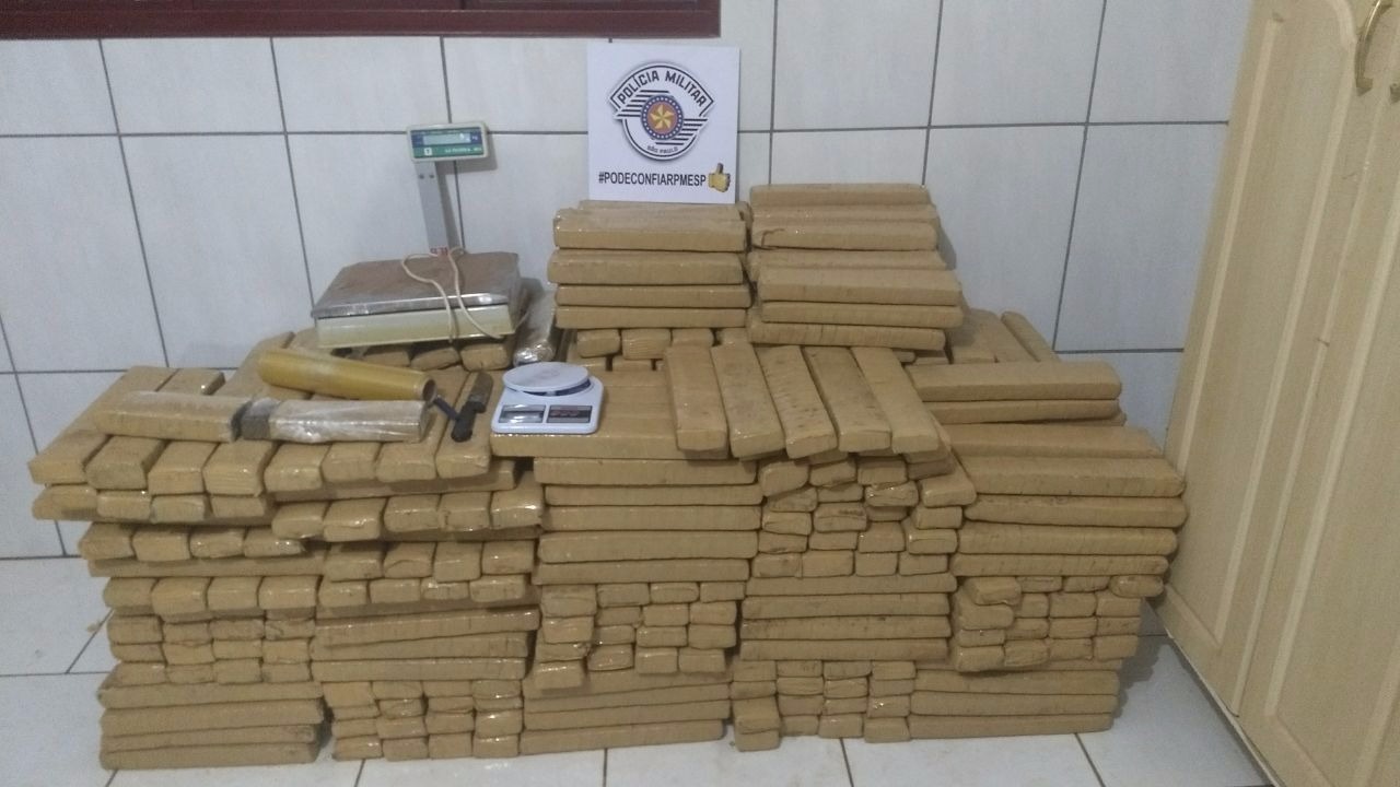 592 tijolos de maconha (Foto:Cedida)