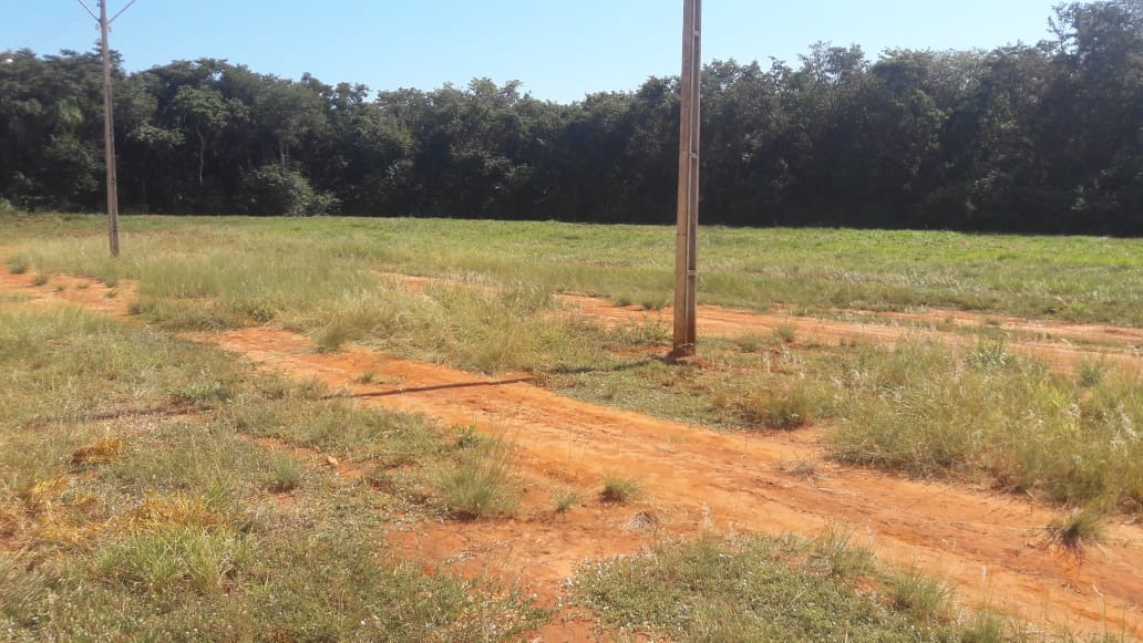 A direção do presídio havia realizado toda a limpeza interna e externa pra melhorar a visibilidade