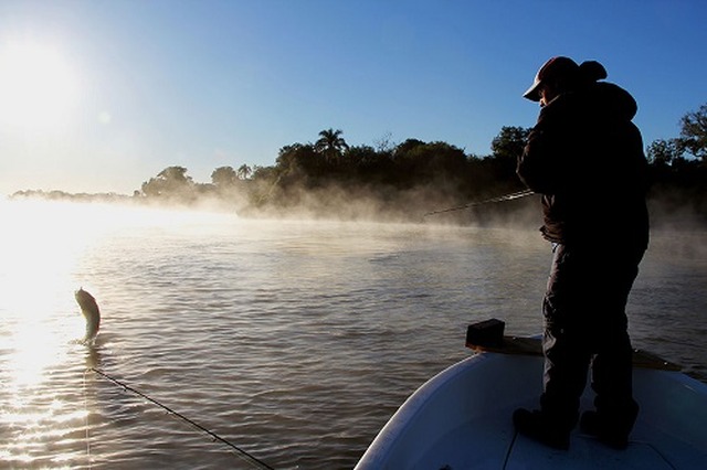 Governo do Estado sancionou lei que impede a pesca do Dourado nos rios de MS - Foto: Arquivo / Correio do Estado