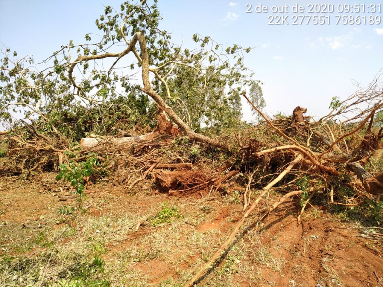 A aferição da área explorada realizada com uso de GPS perfez 5,86 hectares dentro do Bioma de cerrado. Foto: Divulgação.