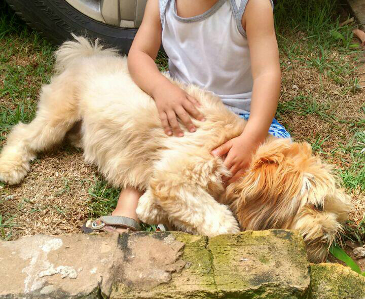 Criança de 2 anos está sofrendo com o desaparecimento do animal de estimação. Foto: Whatsapp