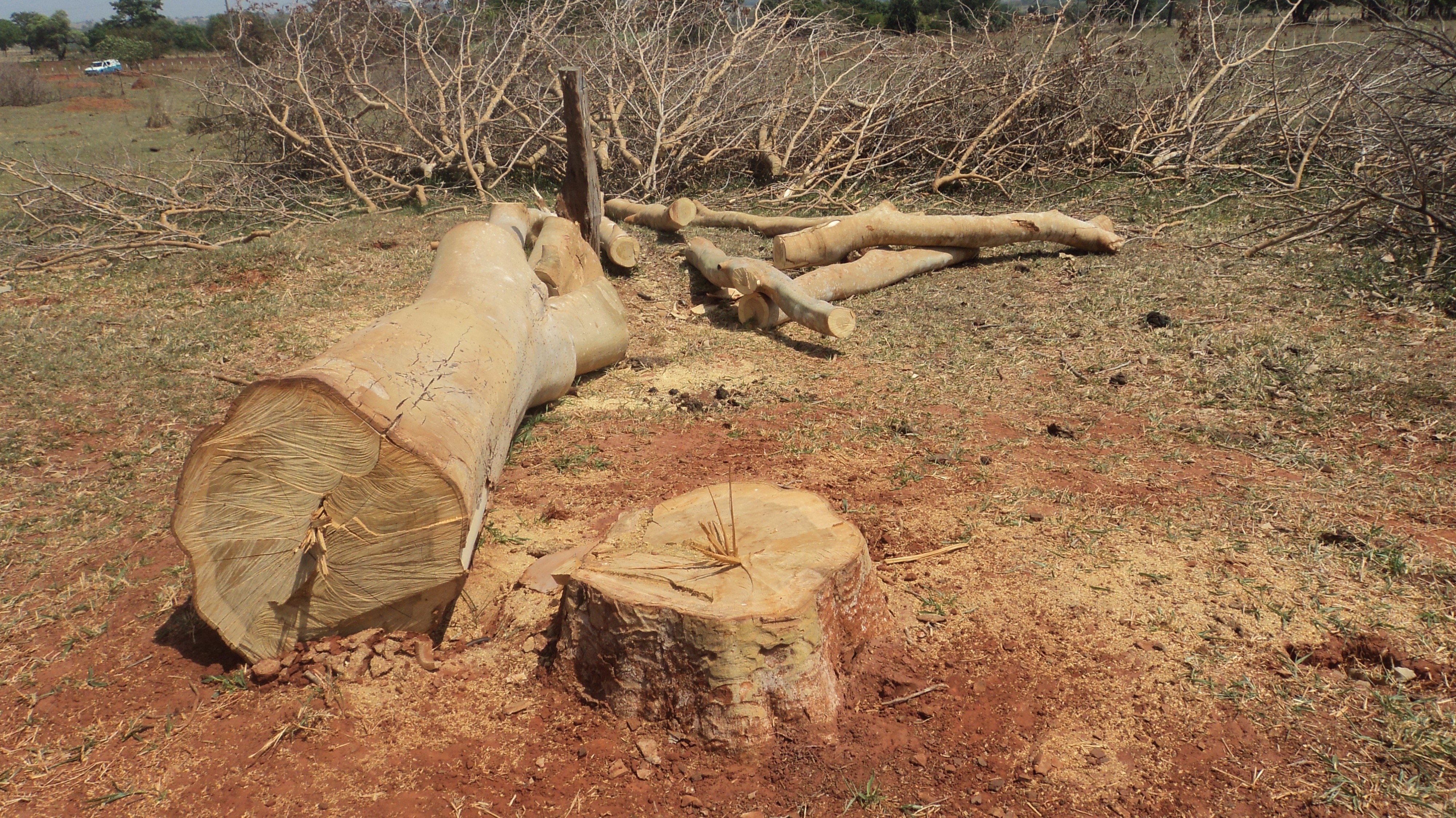 Proprietários rurais são autuados por crime ambiental. (Foto: Assessoria de Imprensa)