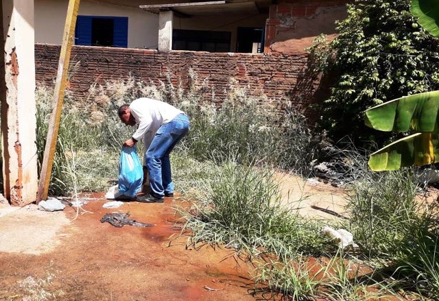 Agente de endemias realizando vistoria em Três Lagoas. Foto: Assessoria.