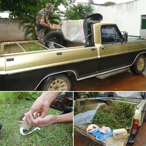 Foto: Divulgação PMA