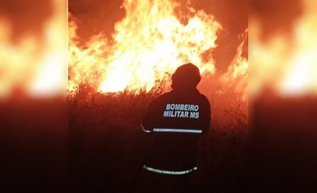 Bombeiro combatendo incêndio em terreno baldio no bairro Jardim Alvorada. Foto: 5º GBM.
