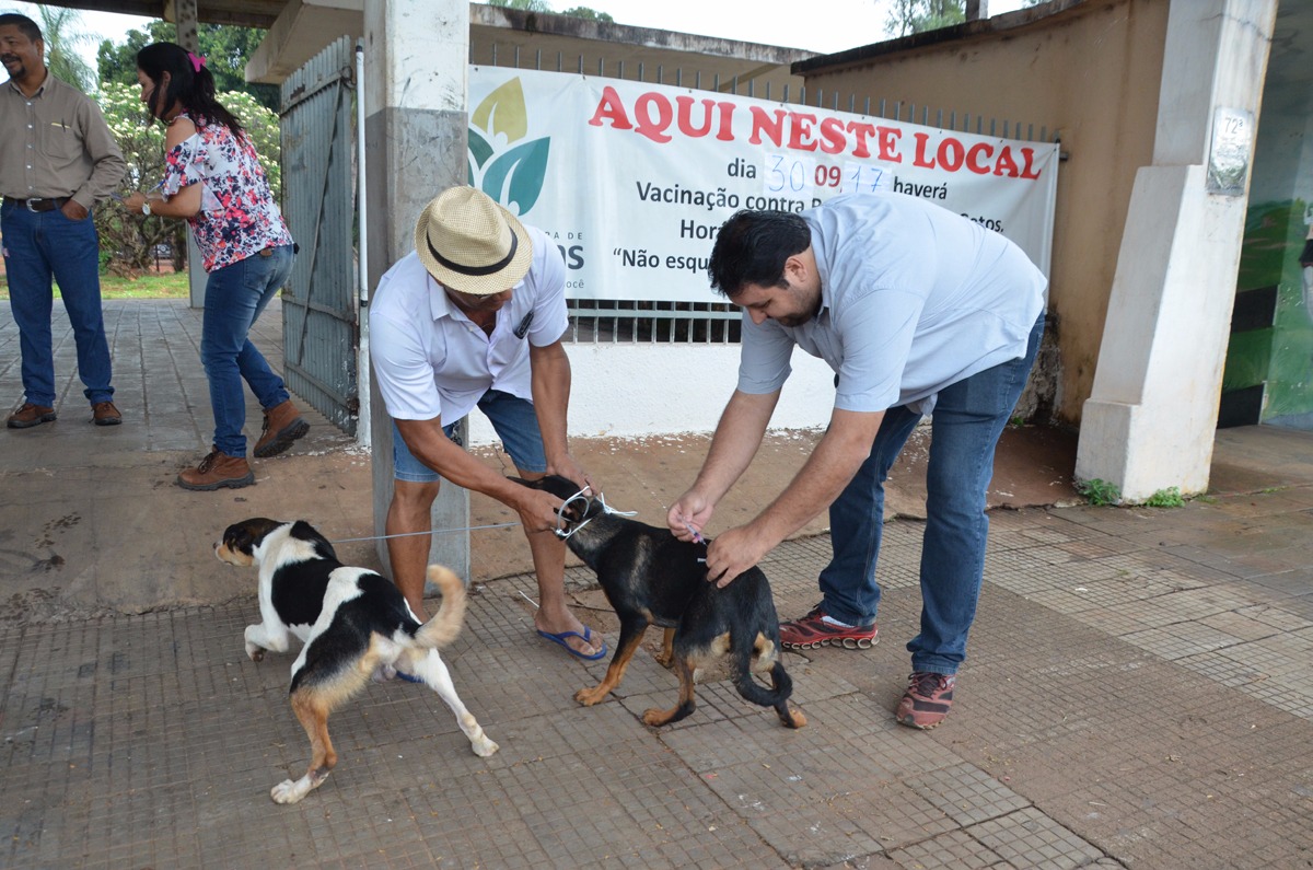 No primeiro dia da campanha foram imunizados 644 cães e 76 gatos. (Foto: Assessoria de Comunicação).