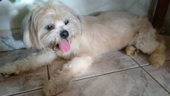 Frida voltou pra casa.