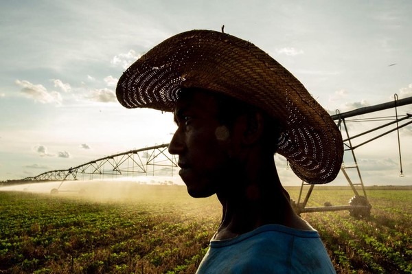 Uma das fotos feitas em fazenda por profissional de MS — Foto: João Garrigó/Arquivo Pessoal