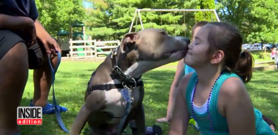 O Pit Bull interage com as pessoas, independente da idade.