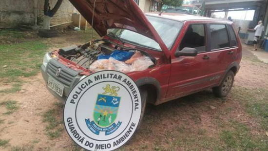 Foto: Divulgação/Assessoria