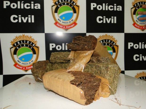 Entorpecente apreendido pela Polícia Civil no Distrito de Ipezal totalizou 161 quilos (Foto: Divulgação)