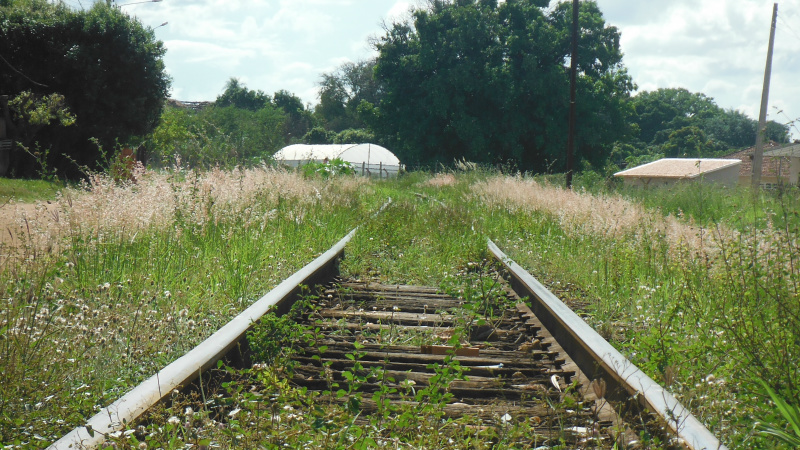 Região da Rua Custódio Andries no bairro Santa Terezinha em Três Lagoas 