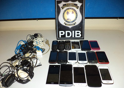 Apreensão Dois Irmãos do Burit