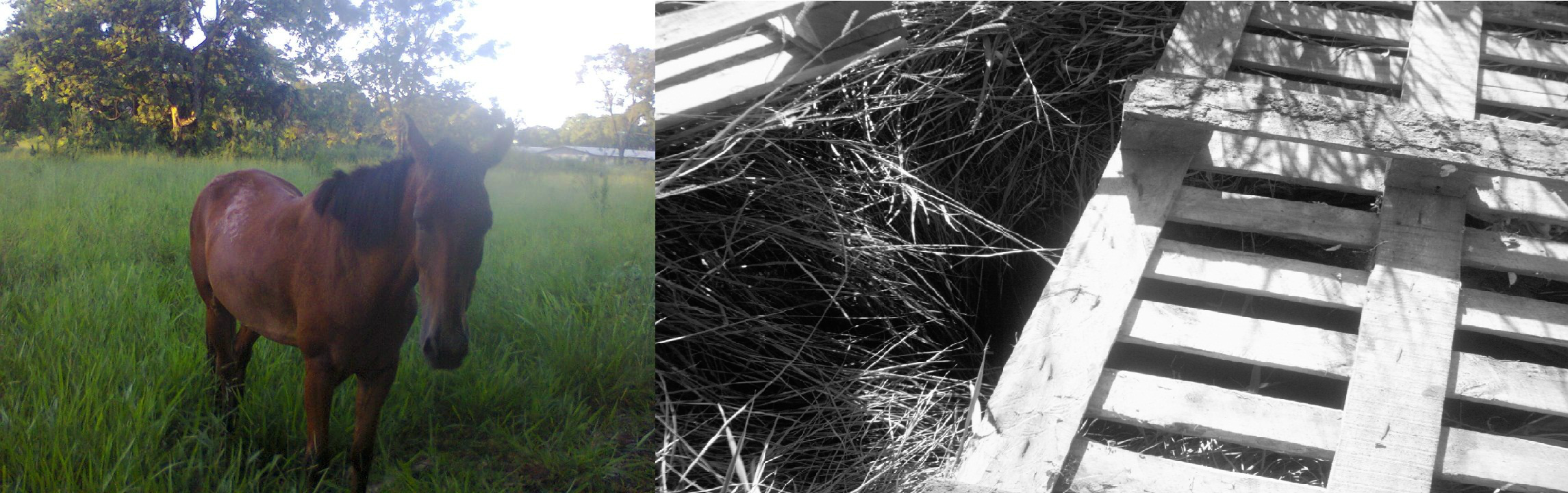 Foto: Arquivo Pessoal