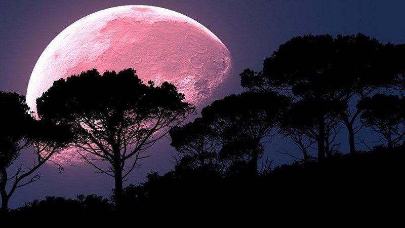 Imagem ilustrativa. - (Foto: Reprodução/Pixabay)