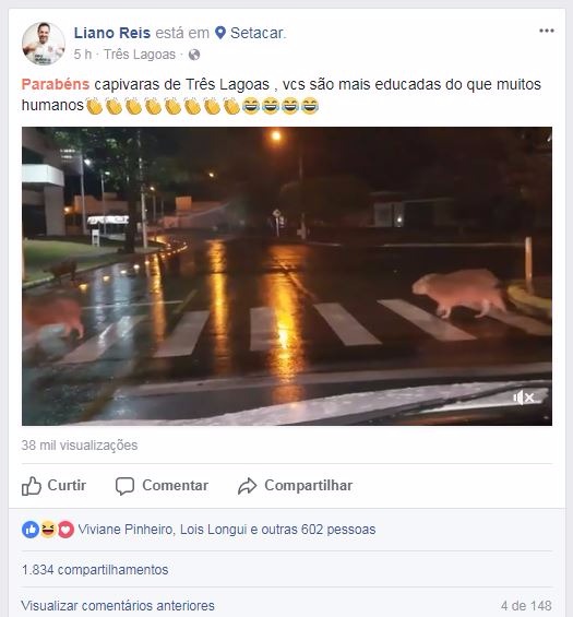 Foto: Reprodução Facebook