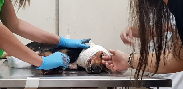 Foto: Roni Paparazzi