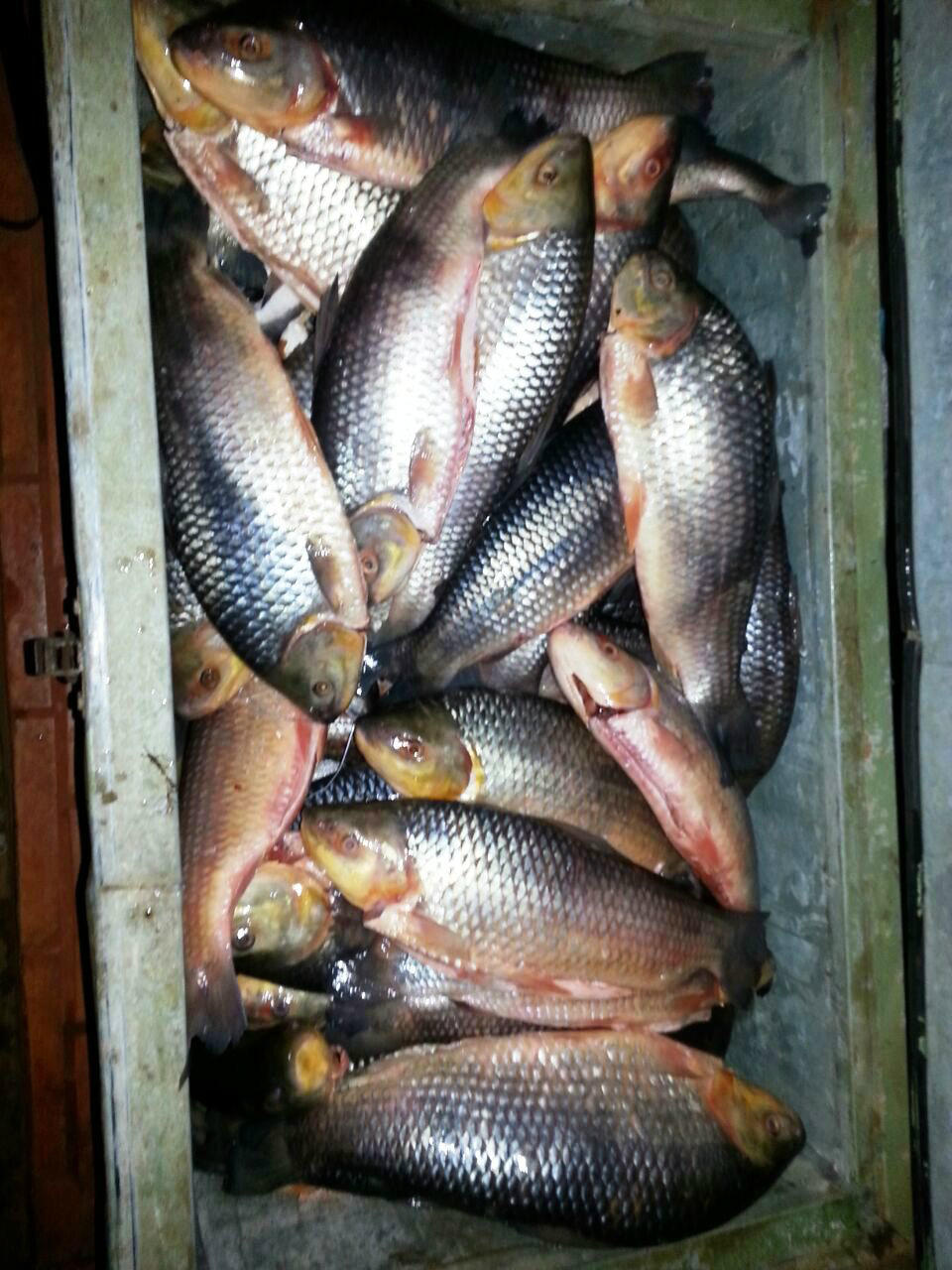 Foto Assessoria de Imprensa