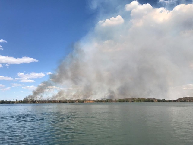 Imagens do incêndio que atinge uma região de mata entre os municípios de Três Lagoas e Castilho-SP. Foto: Jeferson Santos da empresa Valor Florestal.