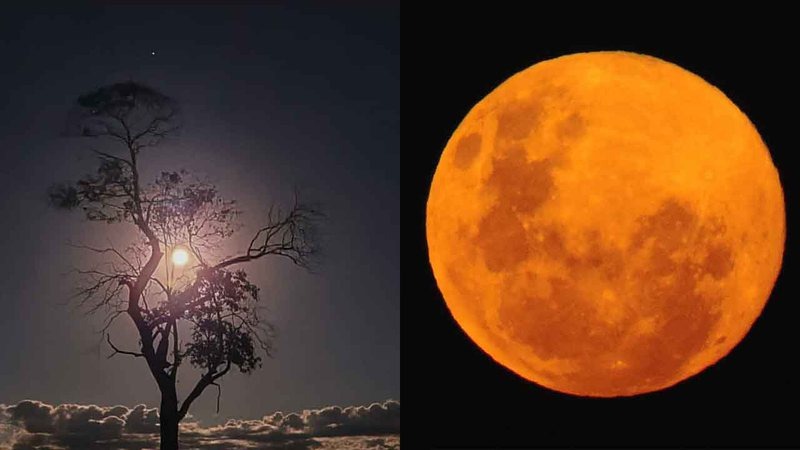 Superlua Rosa foi clicada por moradores de MS - Montagem / Arquivo pessoal