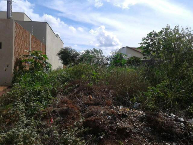 Terreno baldio nos fundos da casa autuada. Foto: Rádio Caçula
