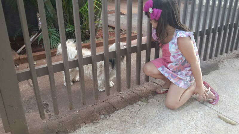 Lindinha, tem 5 anos de idade e sumiu junto com a outra cadela de três meses. Foto: Divulgação/Arquivo Pessoal