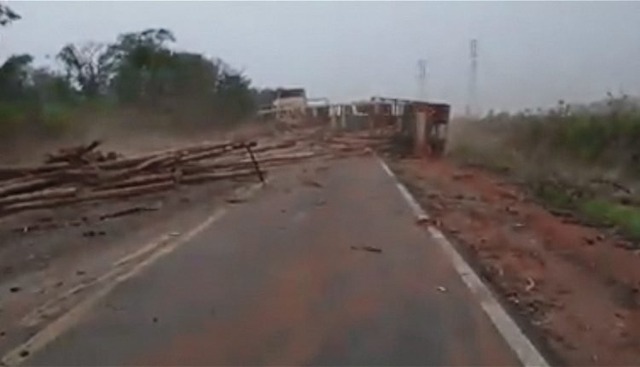 Carga de eucalipto espalhou-se pela rodovia. Foto: Reprodução | Youtube