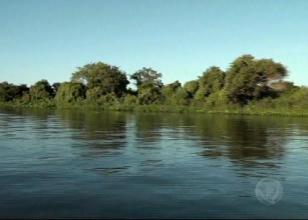 Foto: Reprodução MS Record