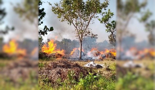 Incêndio em área de vegetação nas proximidades do Aeroporto Municipal de Três Lagoas. Foto: 5º GBM.